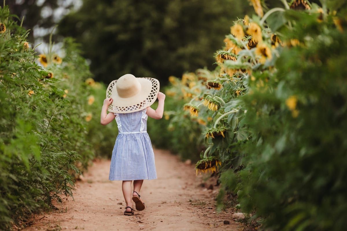 A little girl in a sun hat walking down a path through a sunflower field