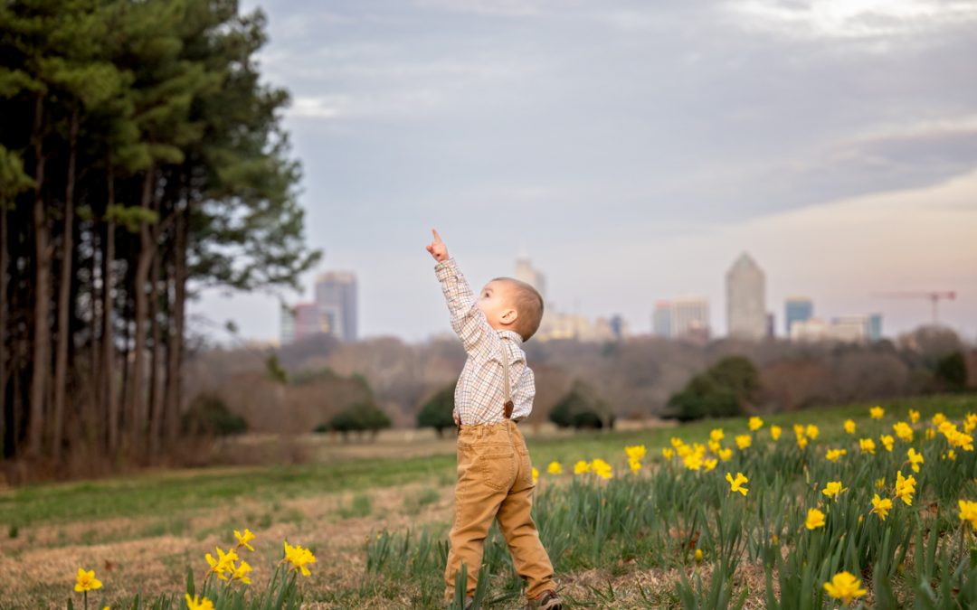 Daffodils at Raleigh’s Dorothea Dix Park