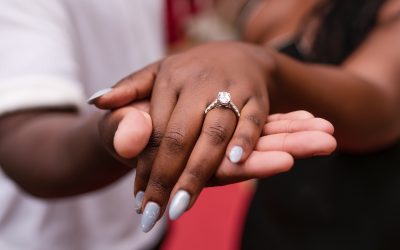 Raleigh Rose Garden Proposal